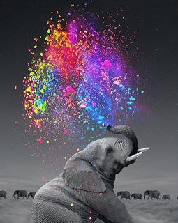 Colorful Elephant Print