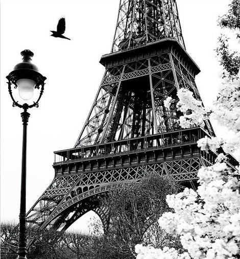 Vintage Eiffel Tower Black & White Canvas