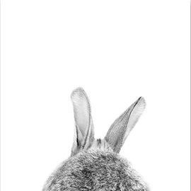 Bunny Rabbit Black & White Canvas 2