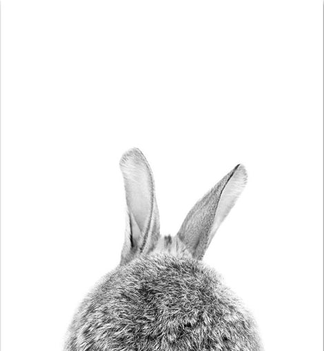 Bunny Rabbit Black & White Canvas 2