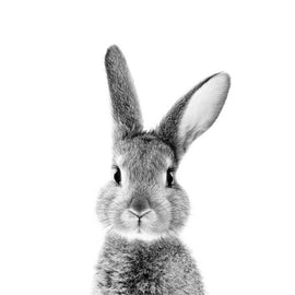 Bunny Rabbit Black & White Canvas 3