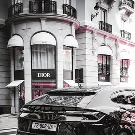 Lamborghini Dior Pink Front Shop Canvas
