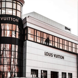 Louis Vuitton Shop Canvas