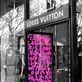 Louis Vuitton Pink Front Shop Canvas