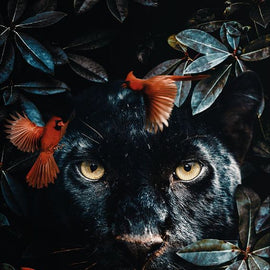 Jaguar in The Bushes Canvas
