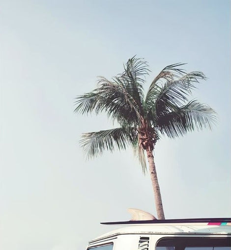 Car with Surf on the Tropical Beach Canvas